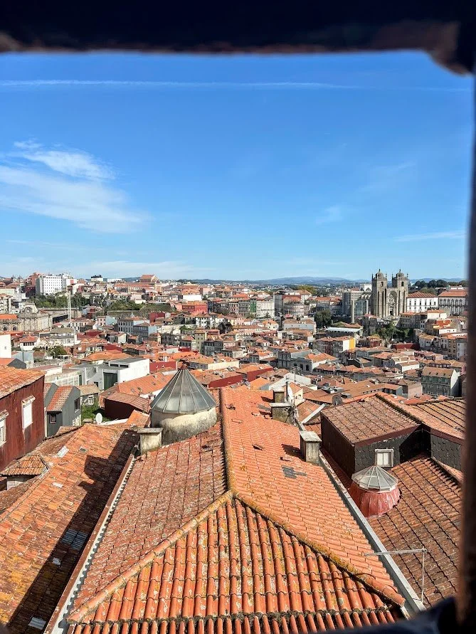 Best views in Porto.jpg