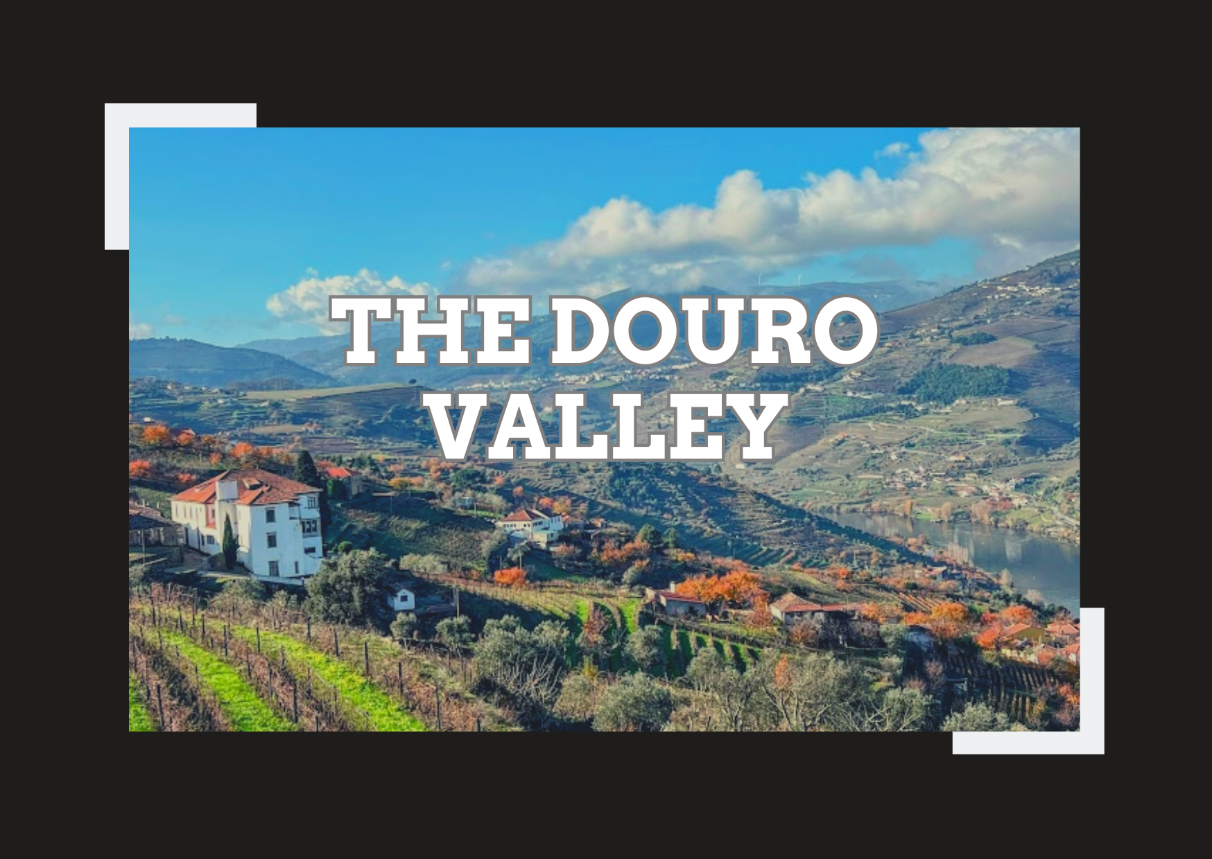 Visiting the Douro Valley on Every Budget: From Affordable to Luxury