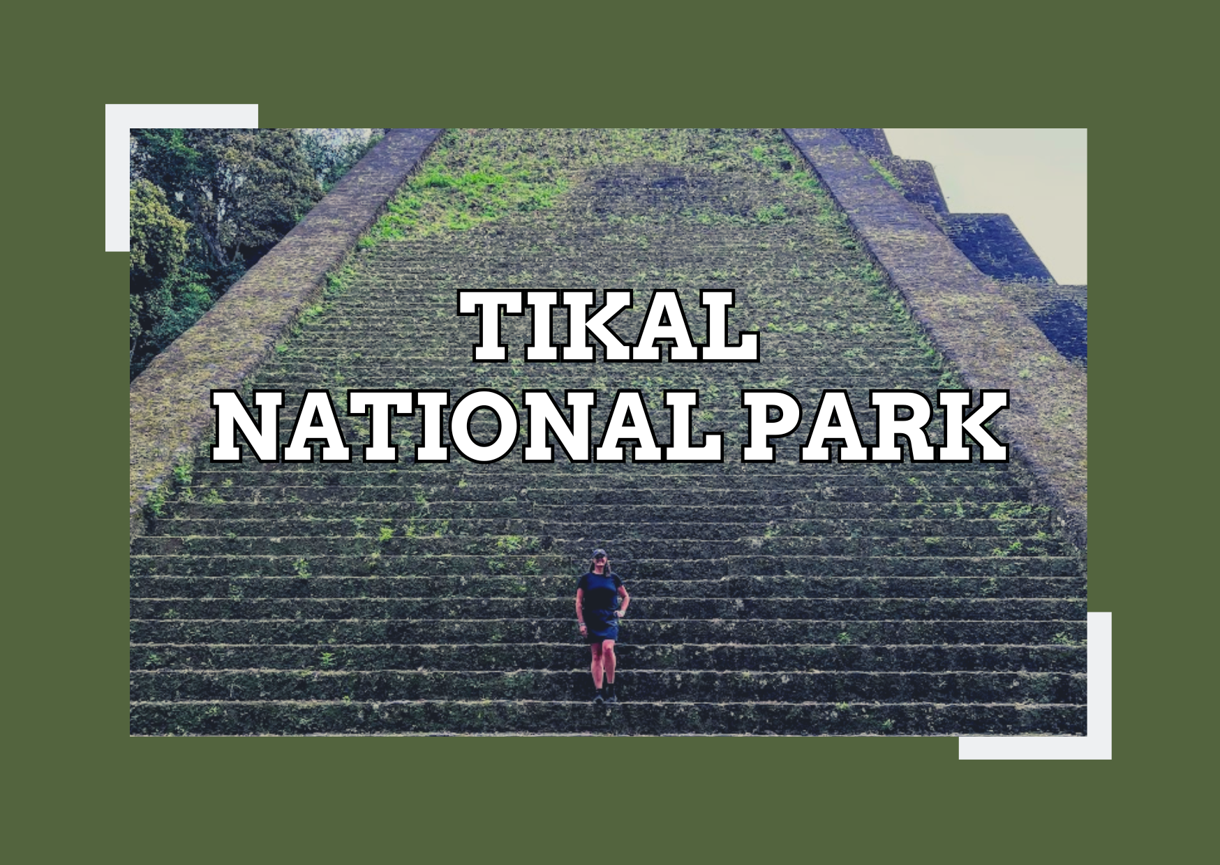 10 Essential Things to Know Before Visiting Tikal National Park