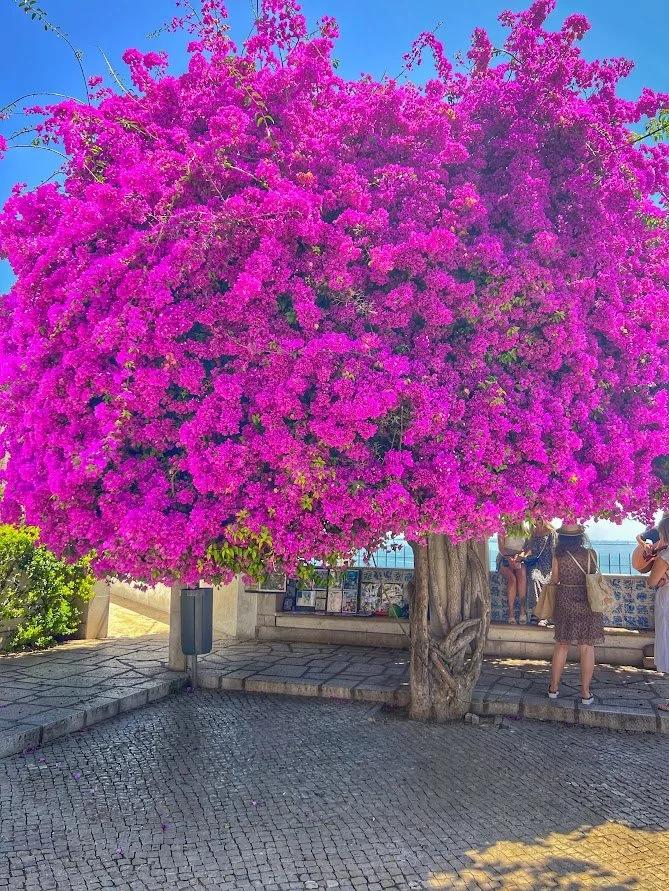 Lisbon 3 day itinerary.jpg