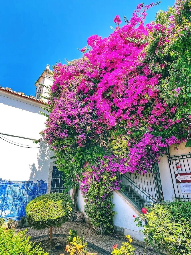 What to do in Lisbon with 3 days.jpg