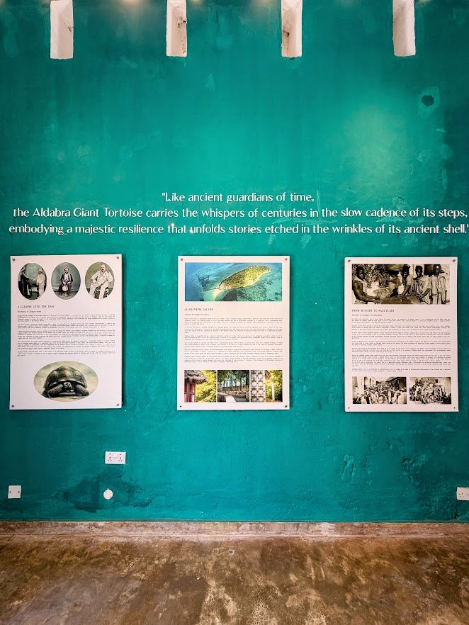 Zanzibar itinerary 5 days