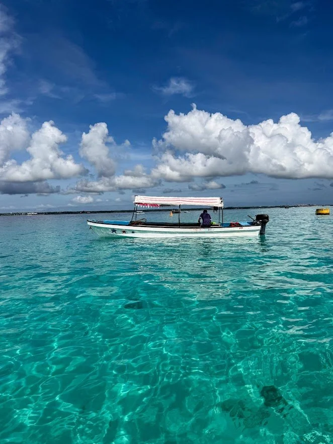 best day trip zanzibar.jpg