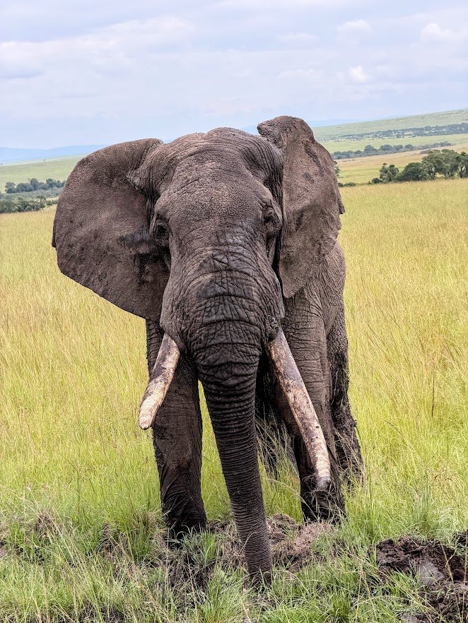 What to bring on safari.jpg