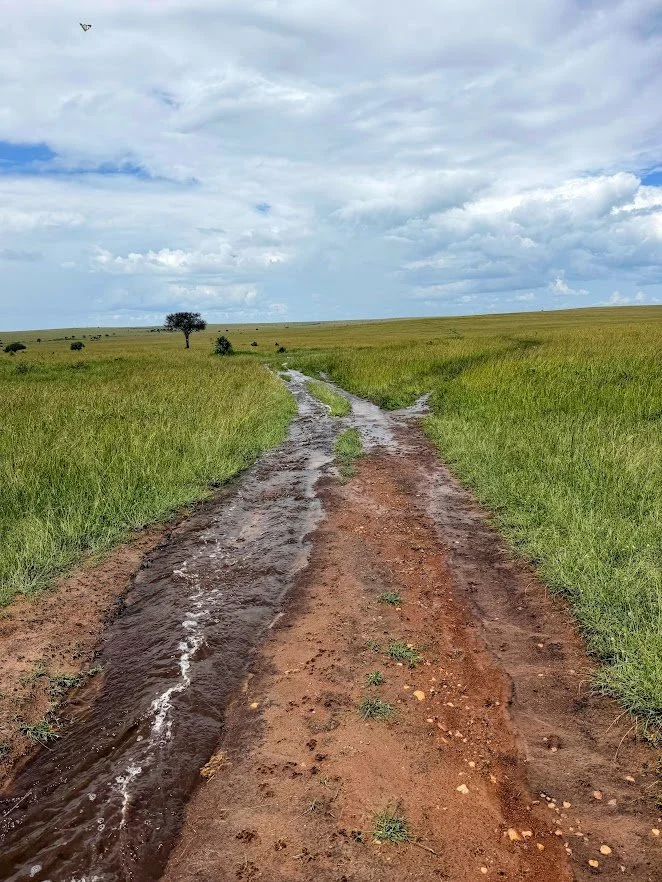 What to know before a safari.jpg