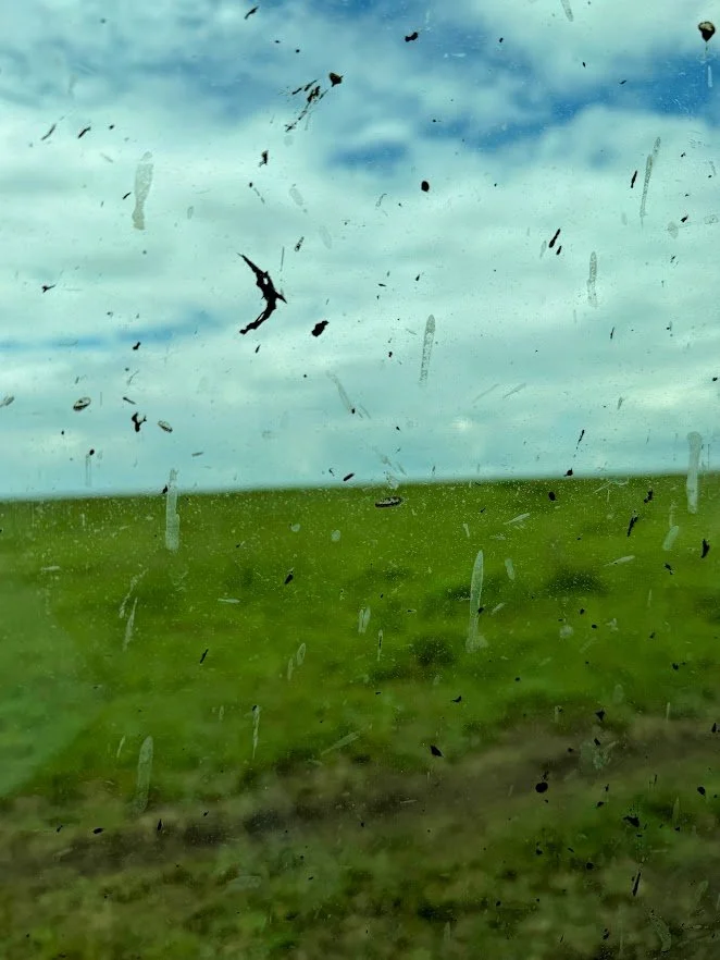 what to wear on safari.jpg