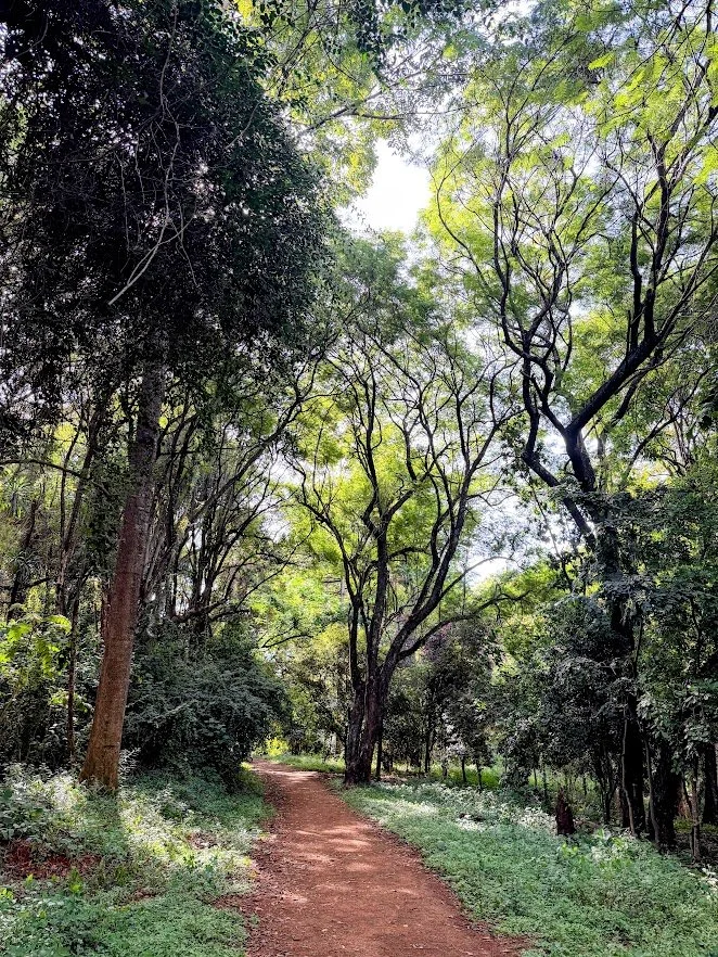 Nairobi nature spots
