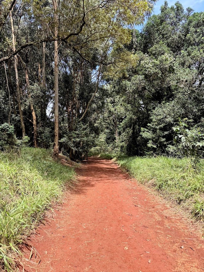 where to hike in Nariobi.jpg