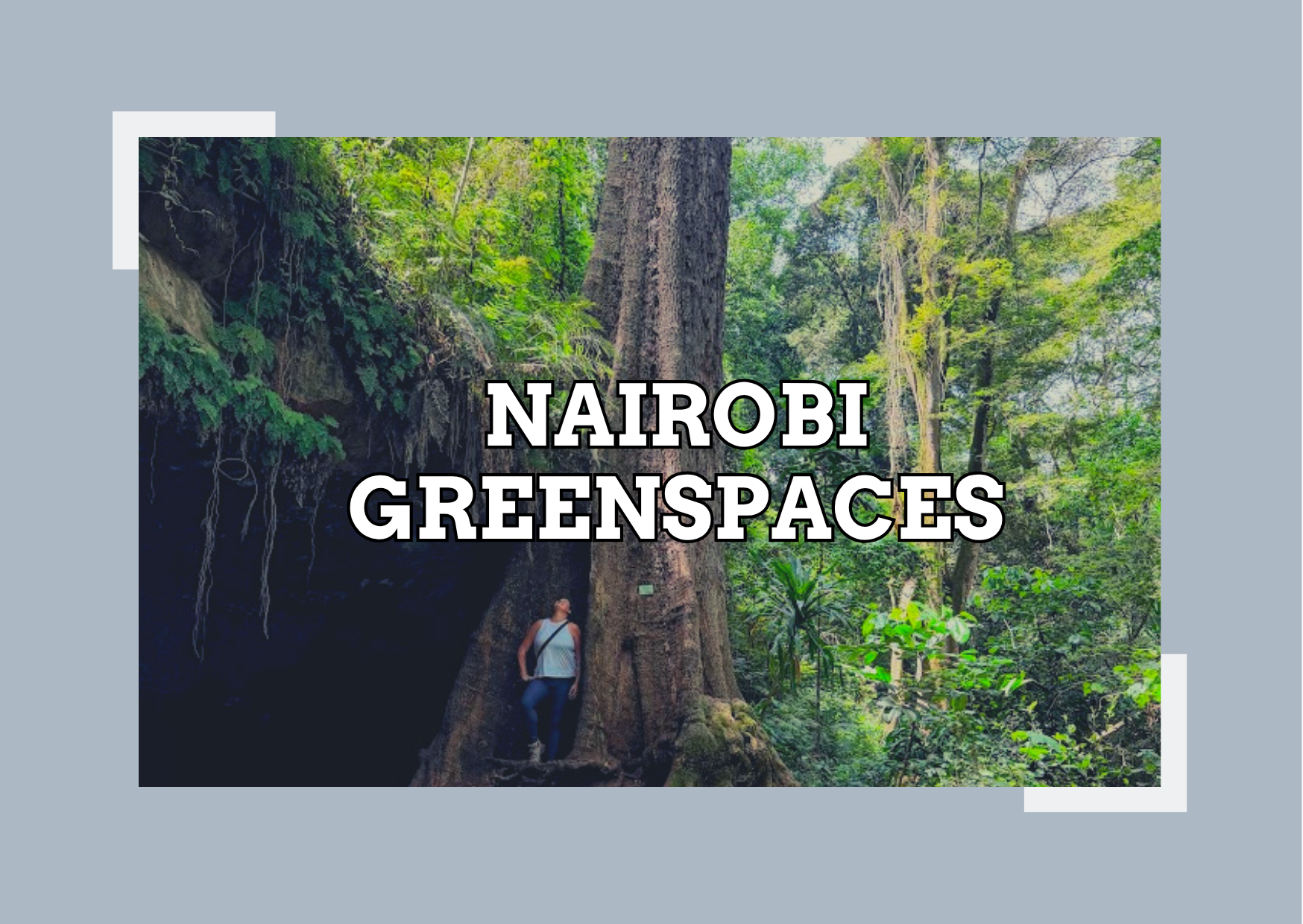 Best Green Spaces in Nairobi: Parks &amp; Nature Spots
