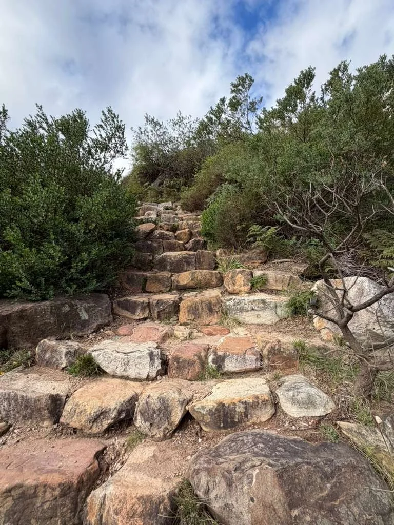 Is table mountain all stairs.jpg