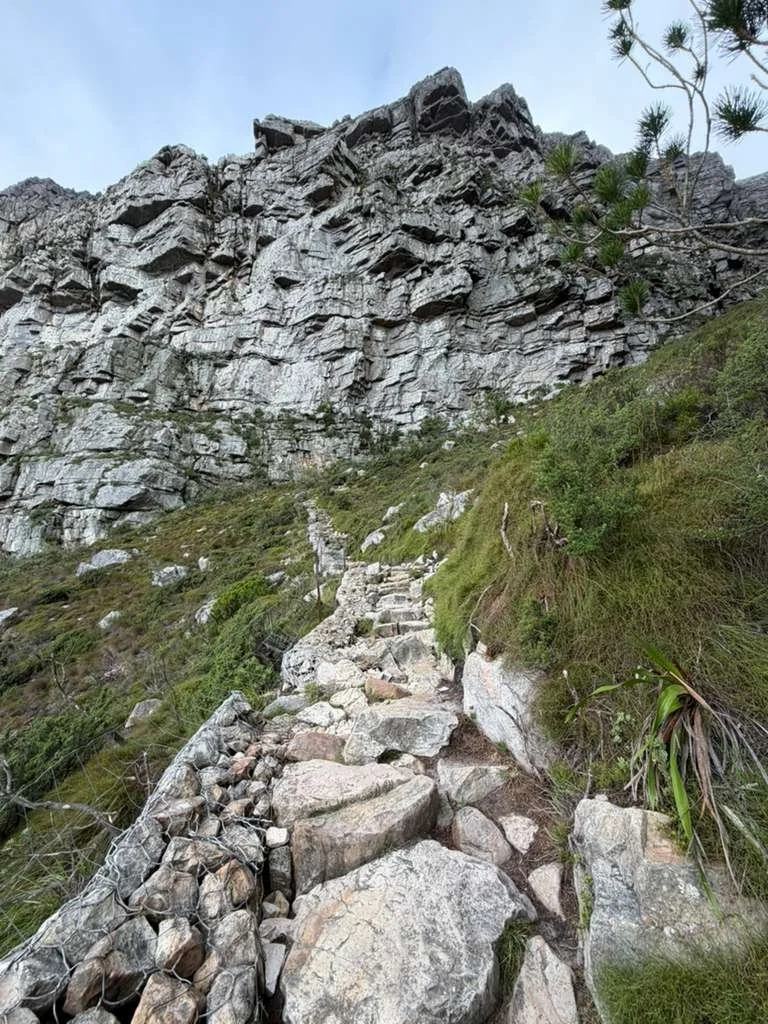 table mountain cape town.jpg
