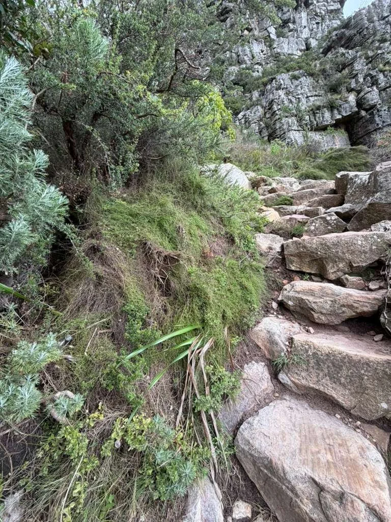 what difficulty is tabe mountain.jpg