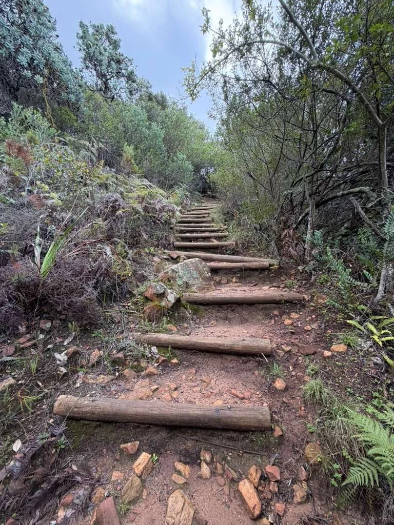 Hiking Skeleton Gorge.jpg