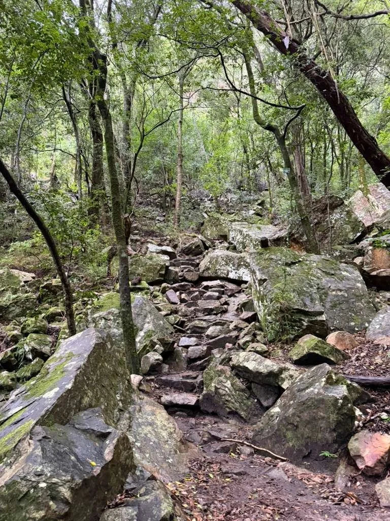 Table Mountain Trail head from botanical garden.jpg