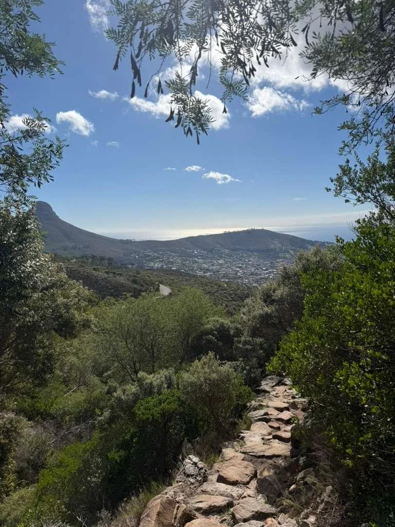 table mountain views.jpg