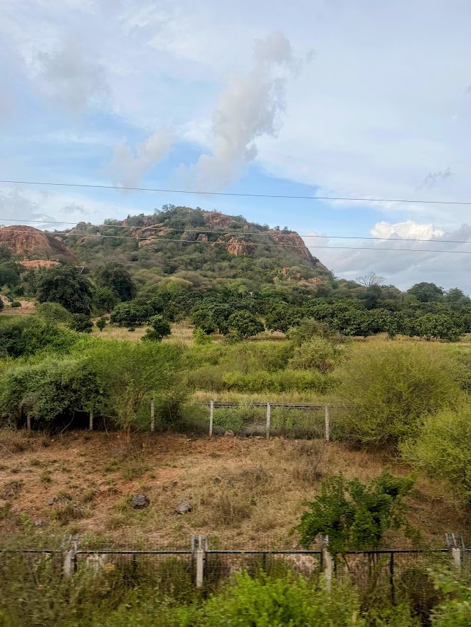 views from train to mombasa.jpg