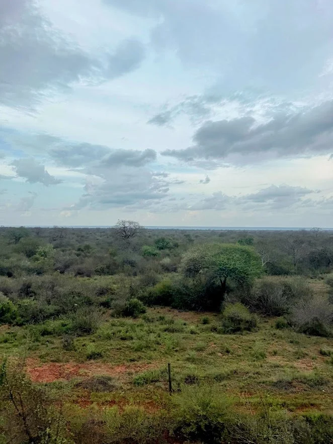views from train to nariobi.jpg
