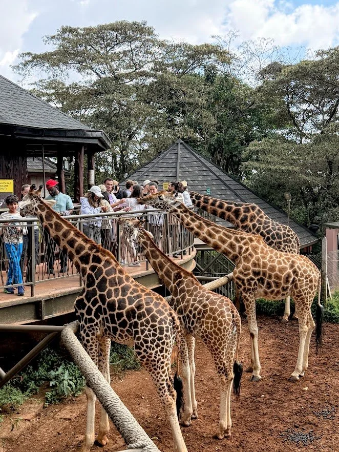 unmissable nairobi.jpg