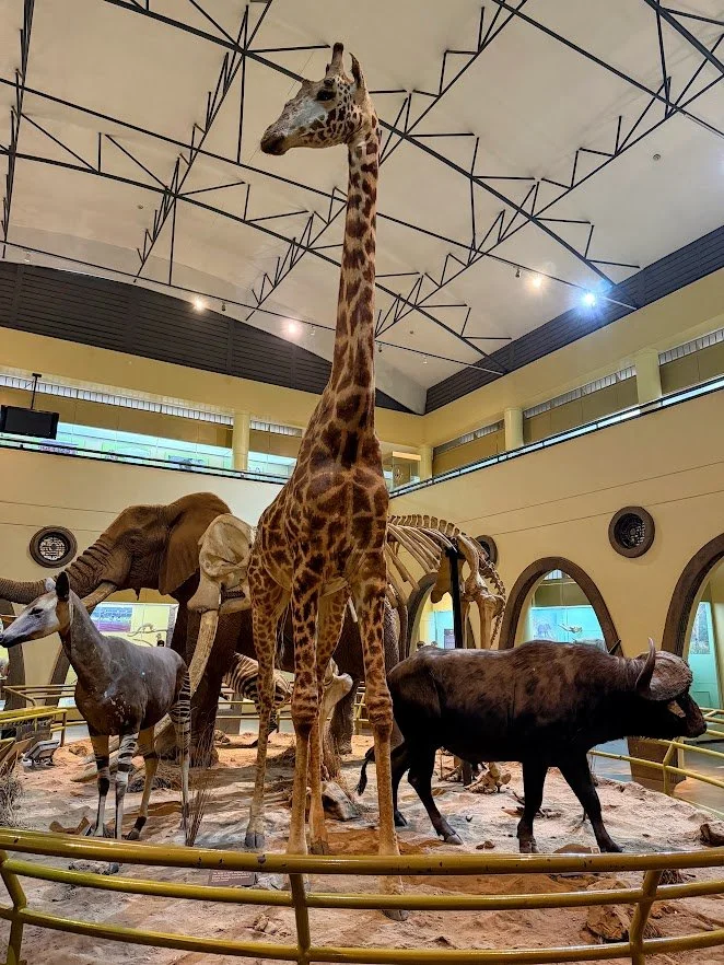 Is the niarobi museum worth it.jpg