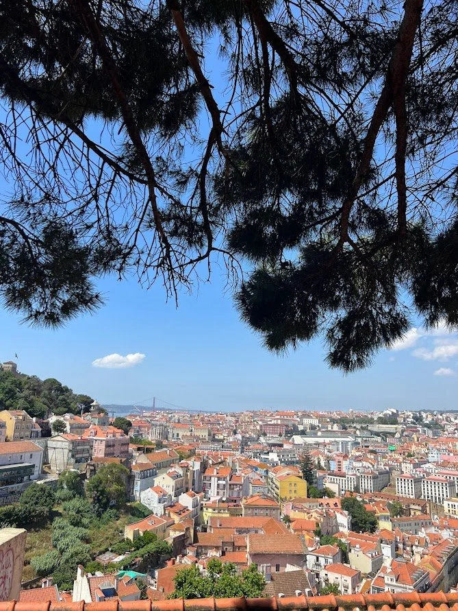 best neighborhood in Lisbon
