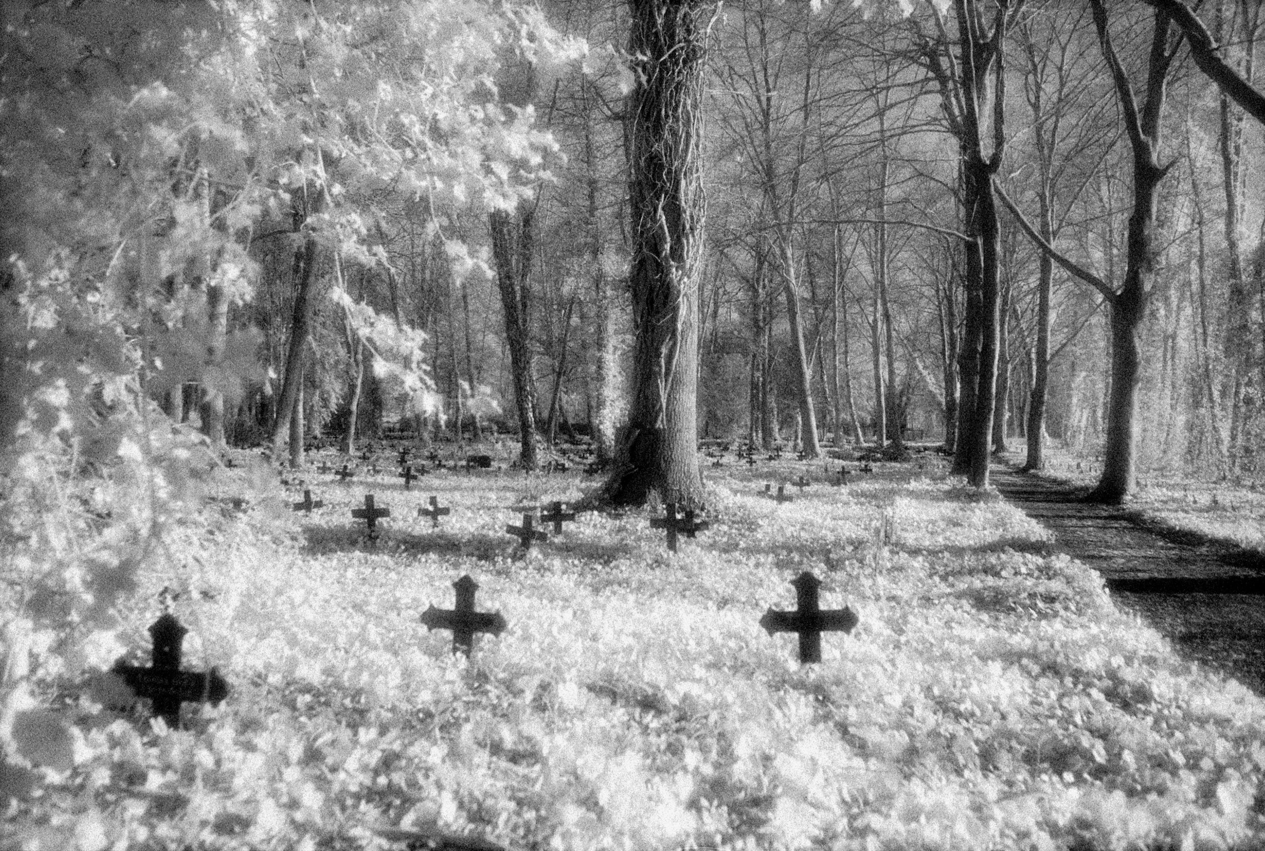 Graveyard.jpg