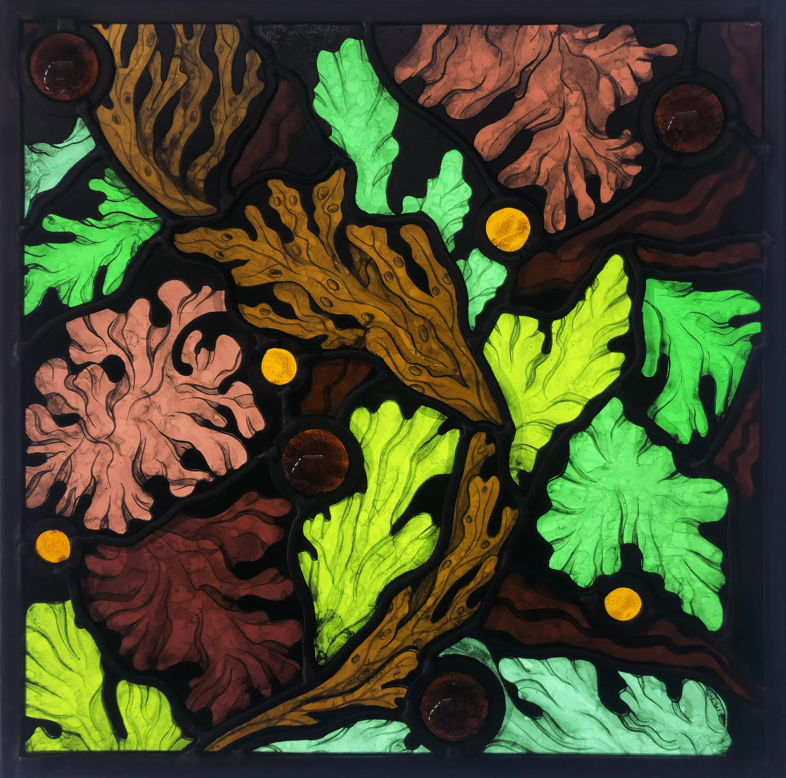 Claire Orme_Underwater Acanthus.jpg