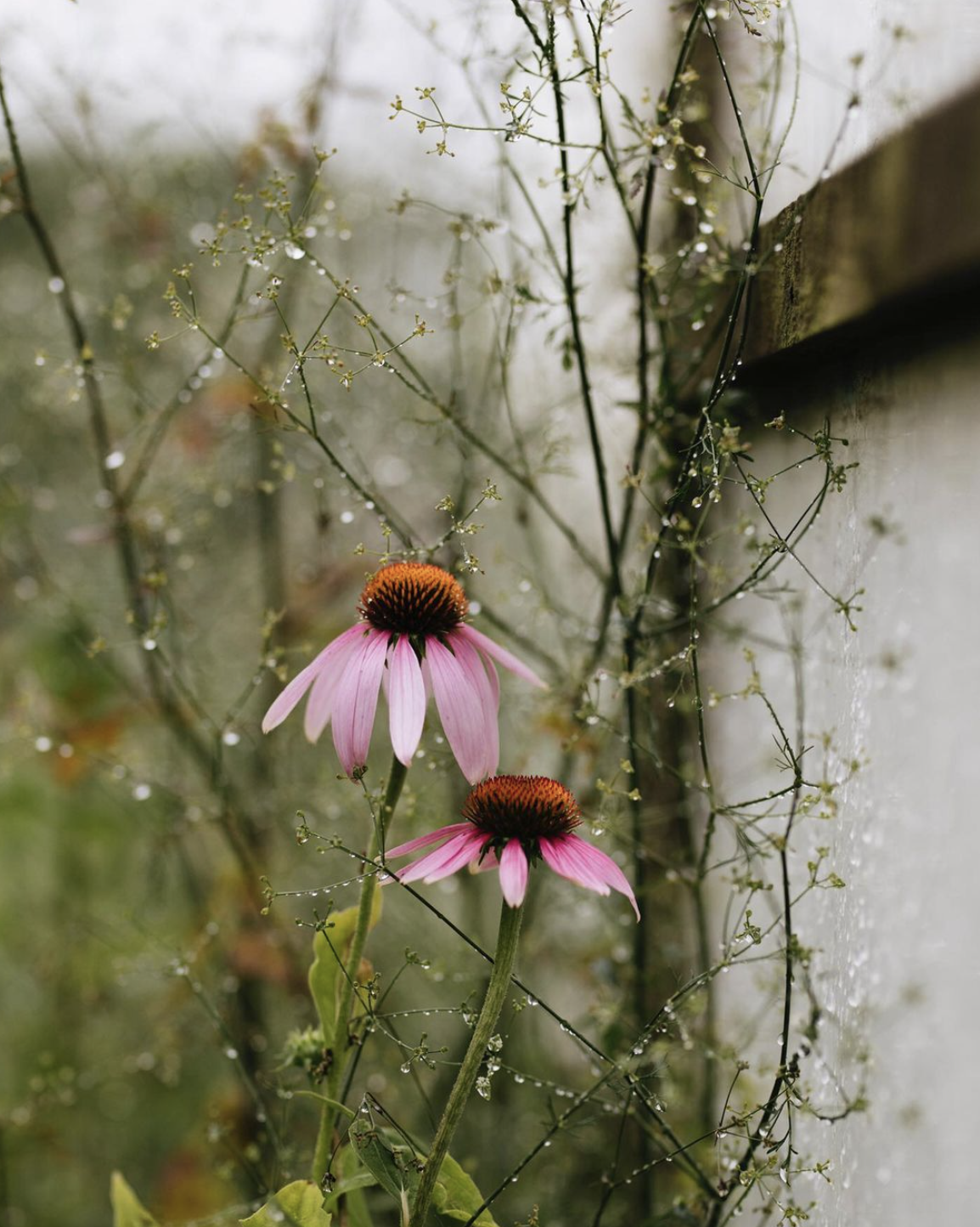 Screen Shot 2023-05-09 at 12.46.57 AM.png