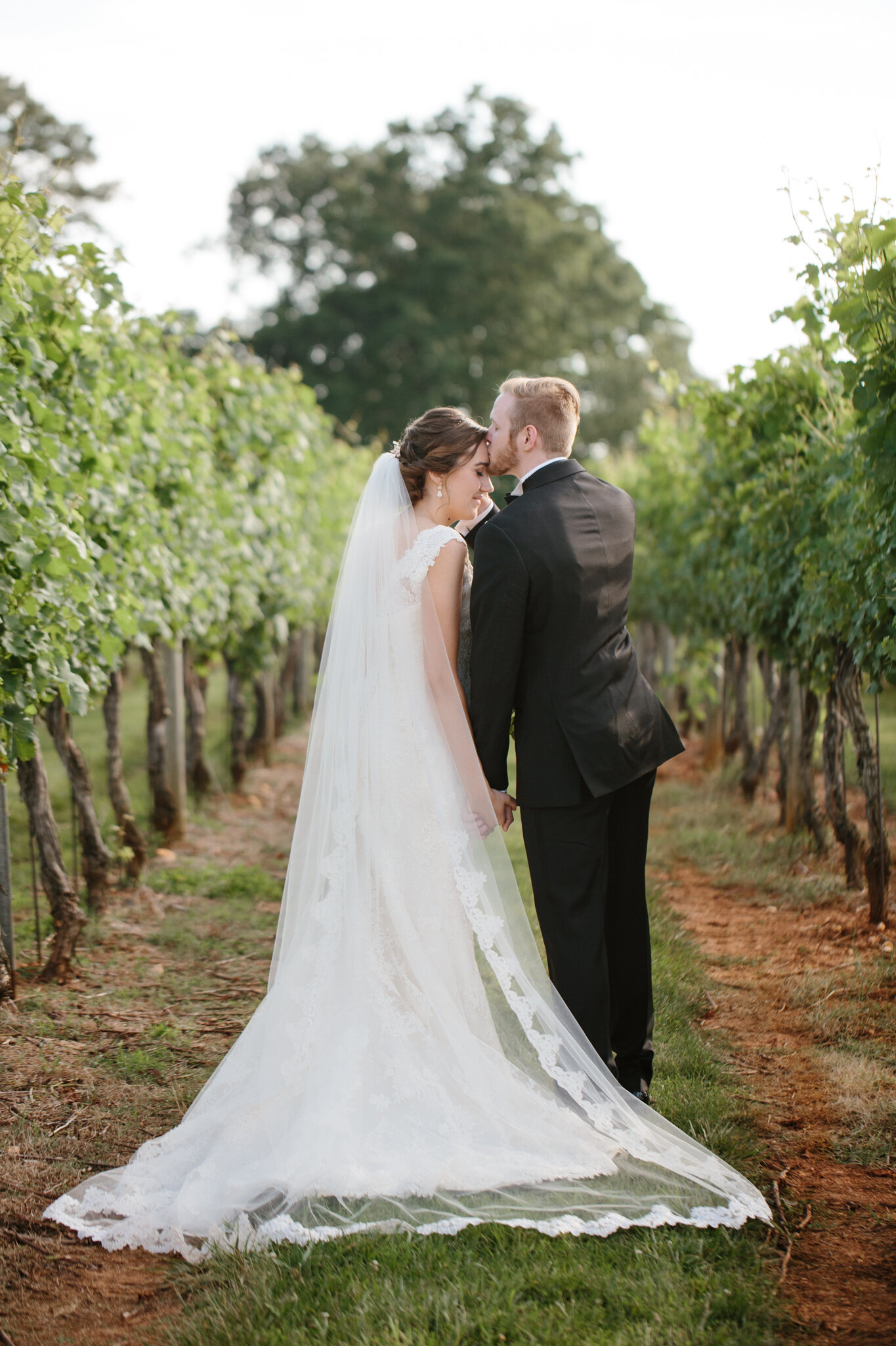 Keswick-Vineyards-Wedding_44.jpg