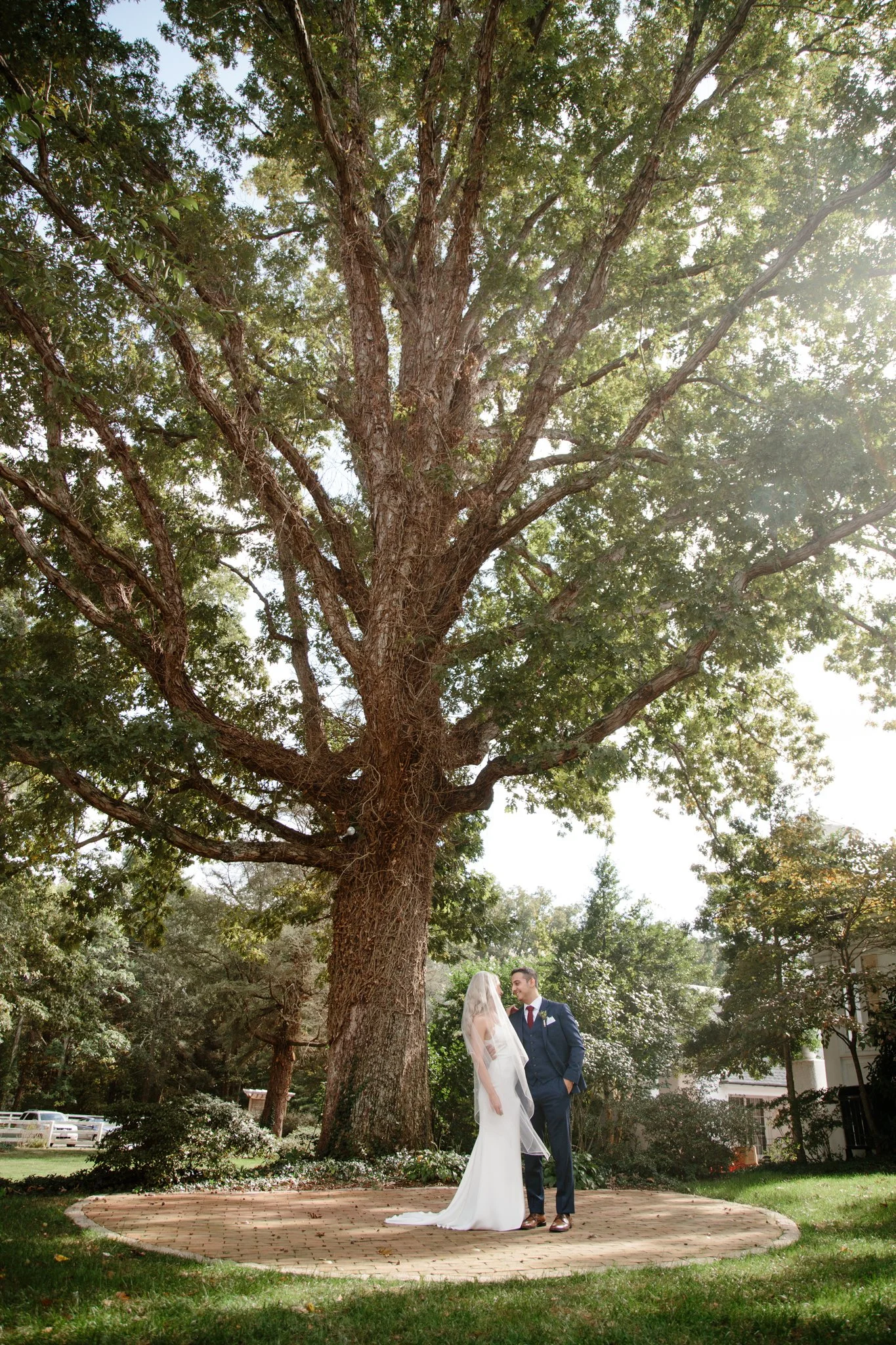 Taylor + Payam | Keswick Vineyards