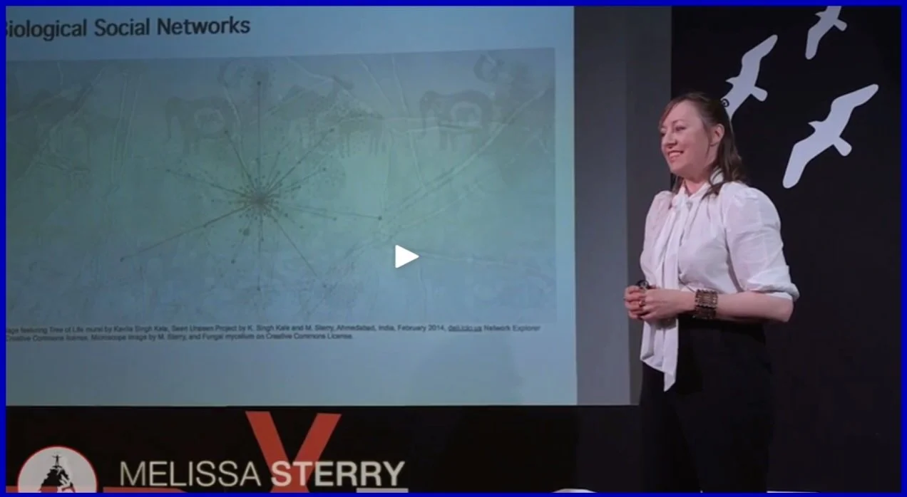 Scientist Dr. Melissa Sterry presenting at a conference with a projected slide about biological social networks and text that says "Melissa Sterry." The background features a diagram resembling a network or web, and decorative bird silhouettes.