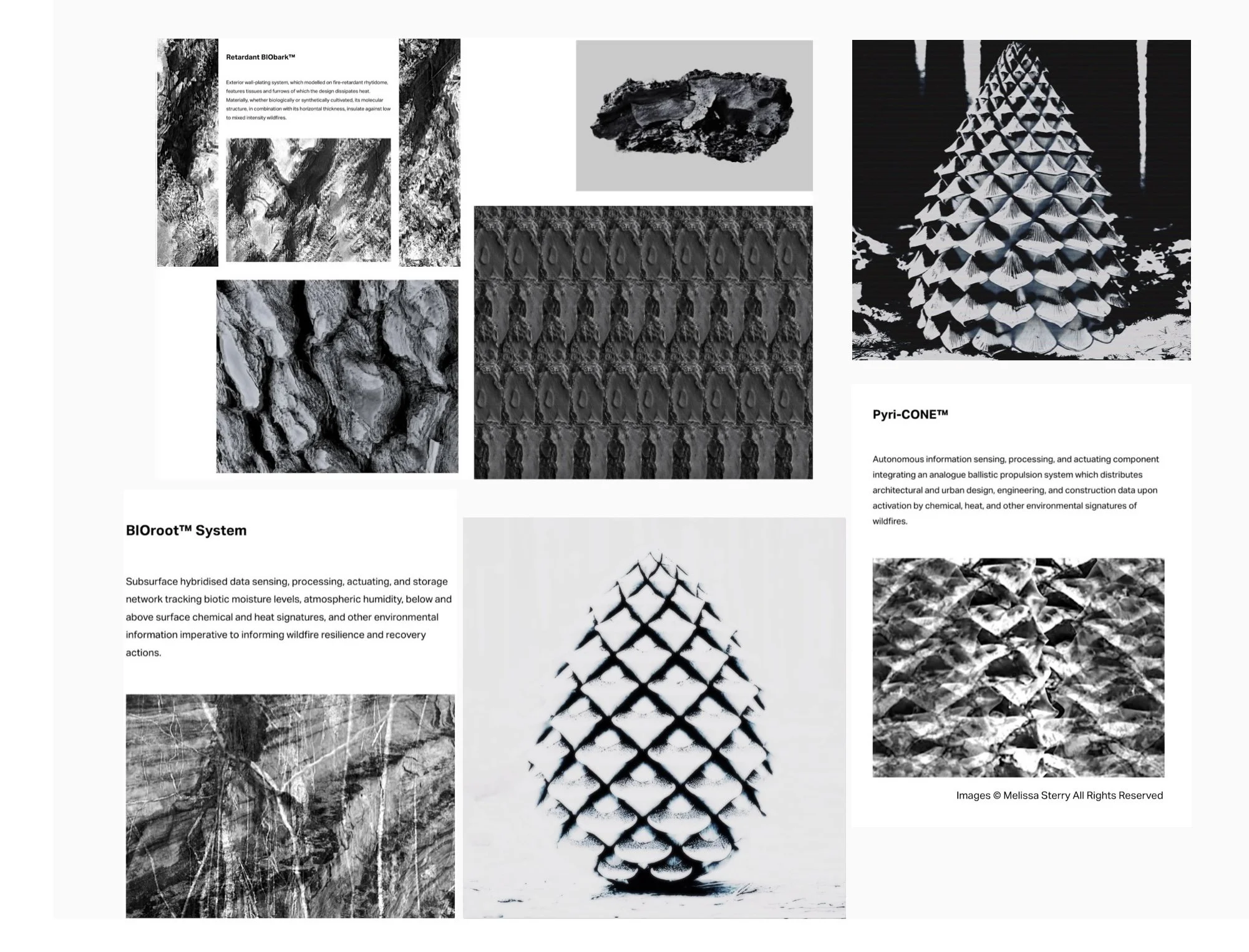 Selection of Dr. Melissa Sterry's bio-inspired design for resilience to wildfire concepts including her BIObark flame resistant building cladding system, her Pyri-cone bio-inspired wildfire sensing device modelled on a pinecone, published in (2018)