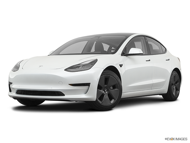 Tesla Model Y — Windshield Skin™