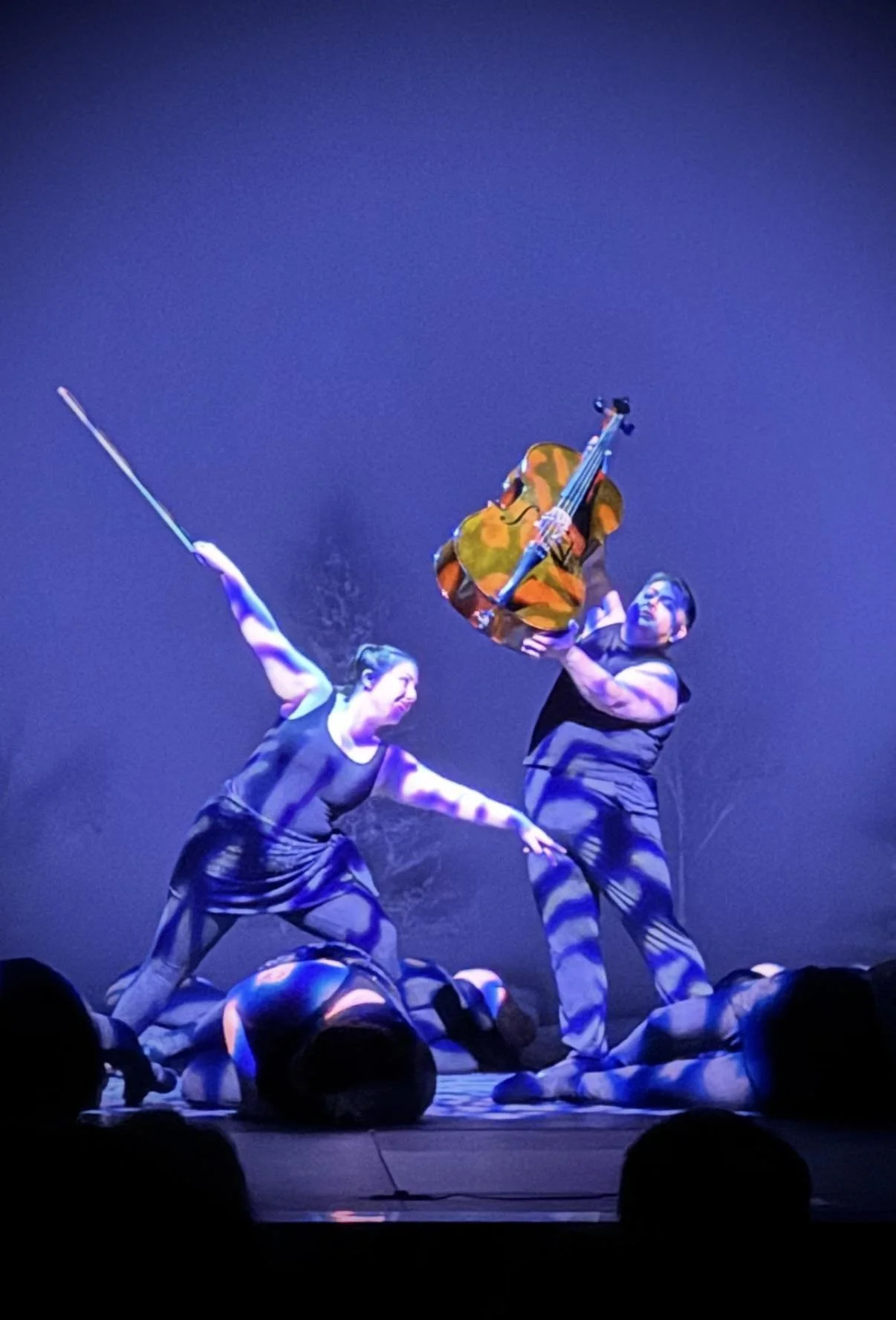 Cello 2025