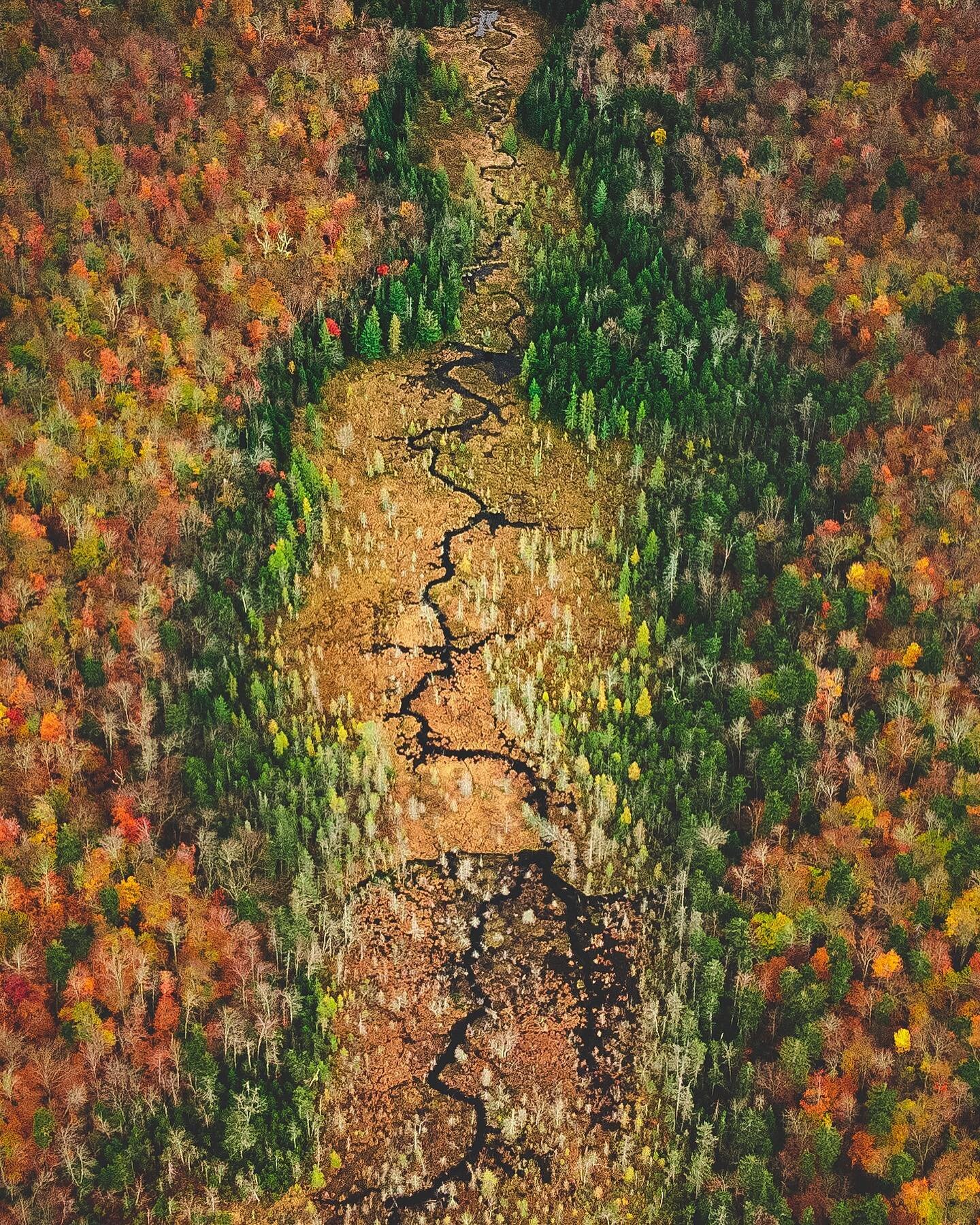 A bowl of fruity pebbles 🍂
.
.
Shot on @djiglobal Mavic Mini 2
.
#dronephotography #droneshots #north #natureshots #aerial #aerialphotography #djiphotography #igtravel #igshotz #canonr5 #mavicmini