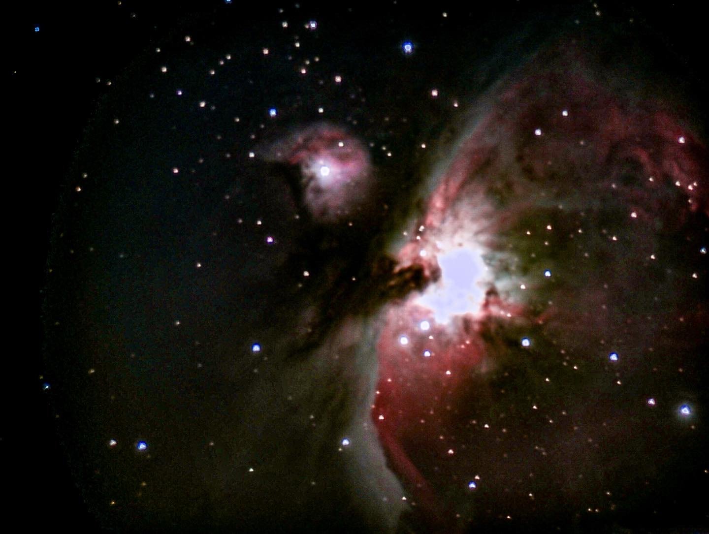 Orion Nebula no filters 50 mins.jpg