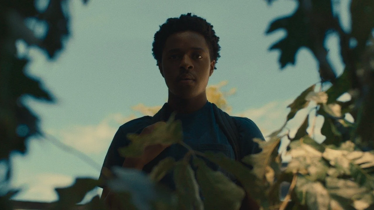 2111-19 XDC A Little Sun_3.5.1.jpeg