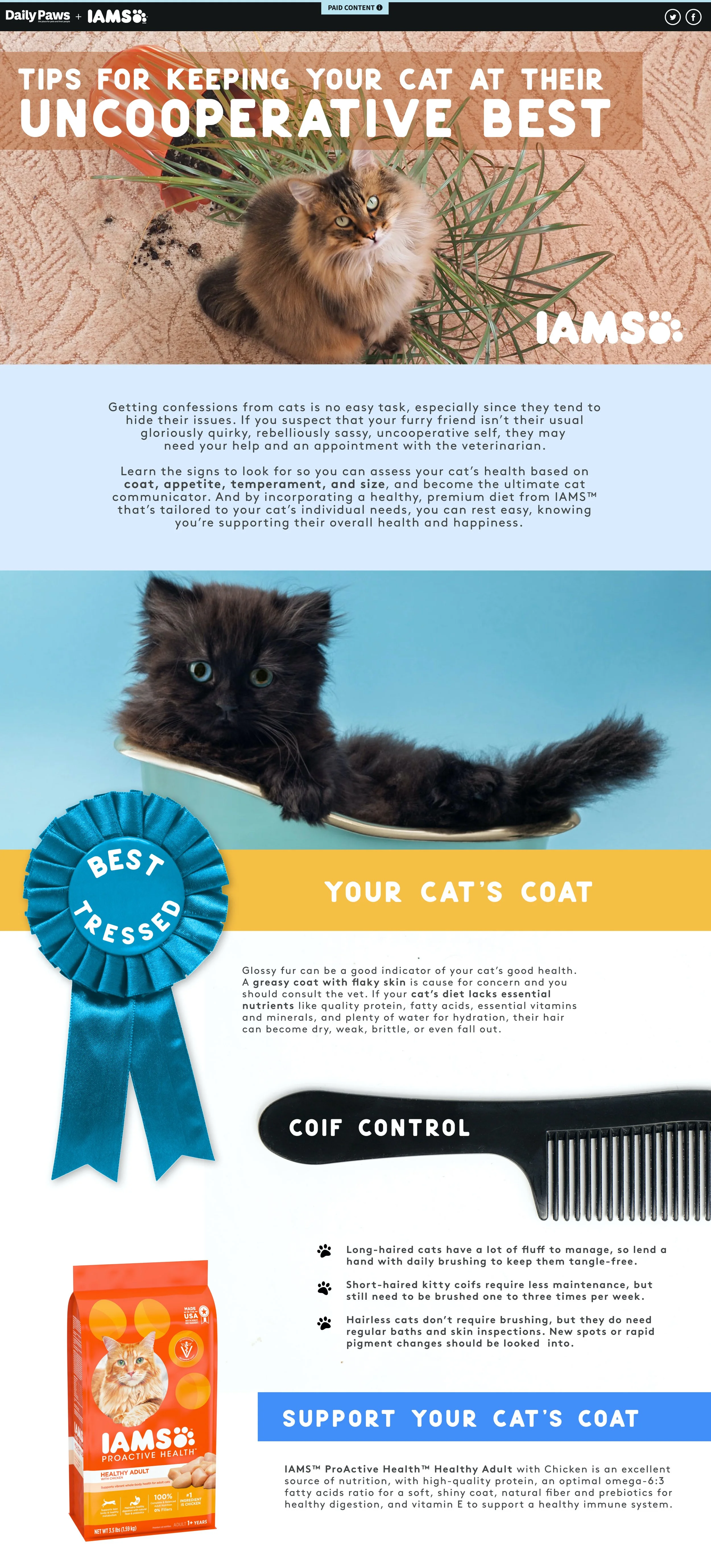 Infographic@2x cropped.jpeg