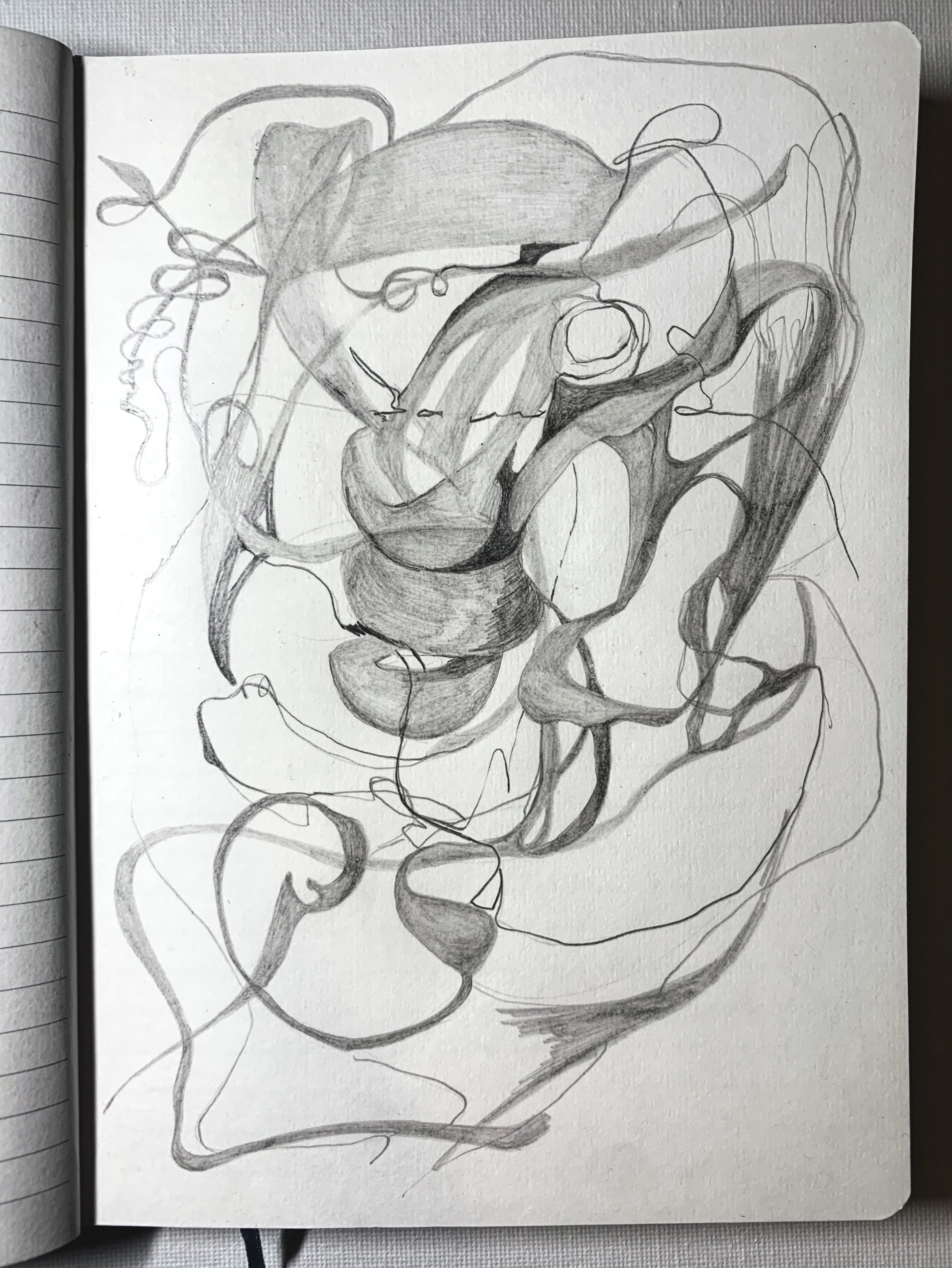 Idea taken for a walk… (Pencil sketch on paper, Bryony Benge-Abbott, 2022)