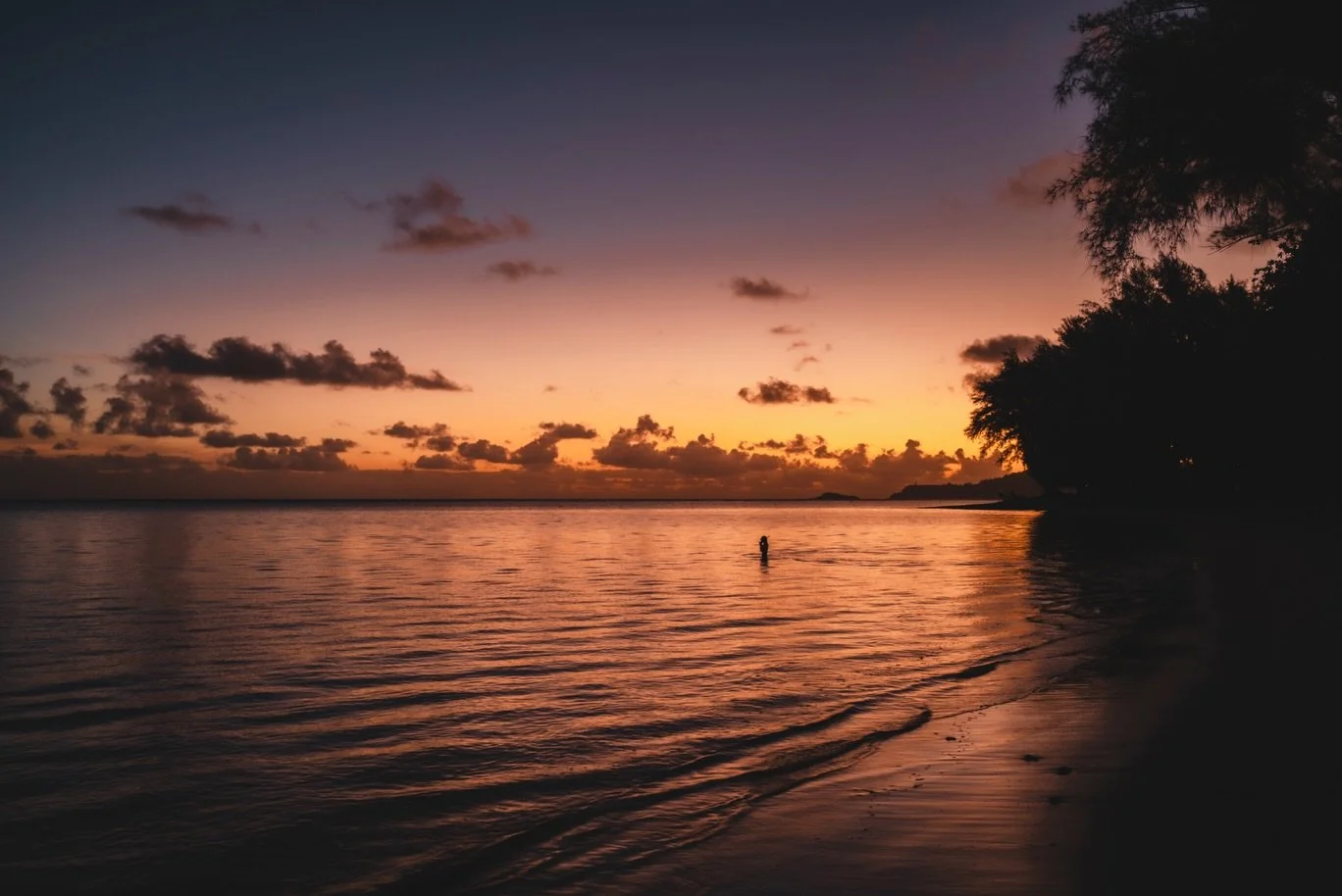 // Life of Hawai'i &bull; A combination of Maui &amp; Kaua&rsquo;i in landscape mode 🌿 

Even though everything is optimised for social media and I take a lot of photos in portrait orientation, it&rsquo;s good not to do so all the time.

These are s