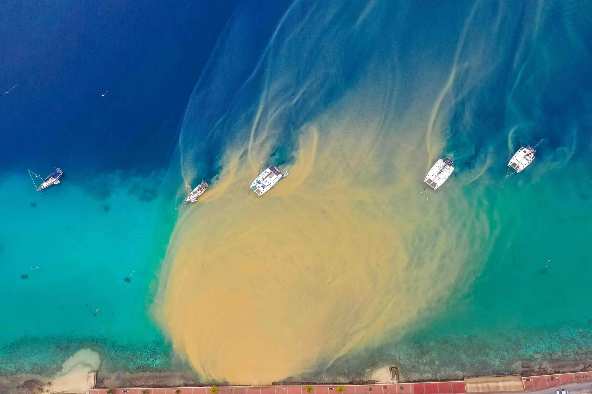 Valuable Coral Reefs
