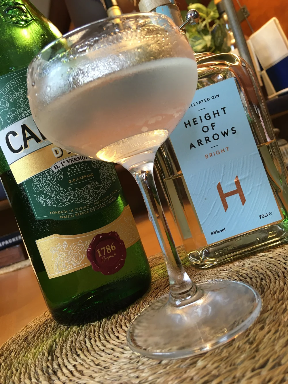 Martini and Ingredients in bottle.JPG