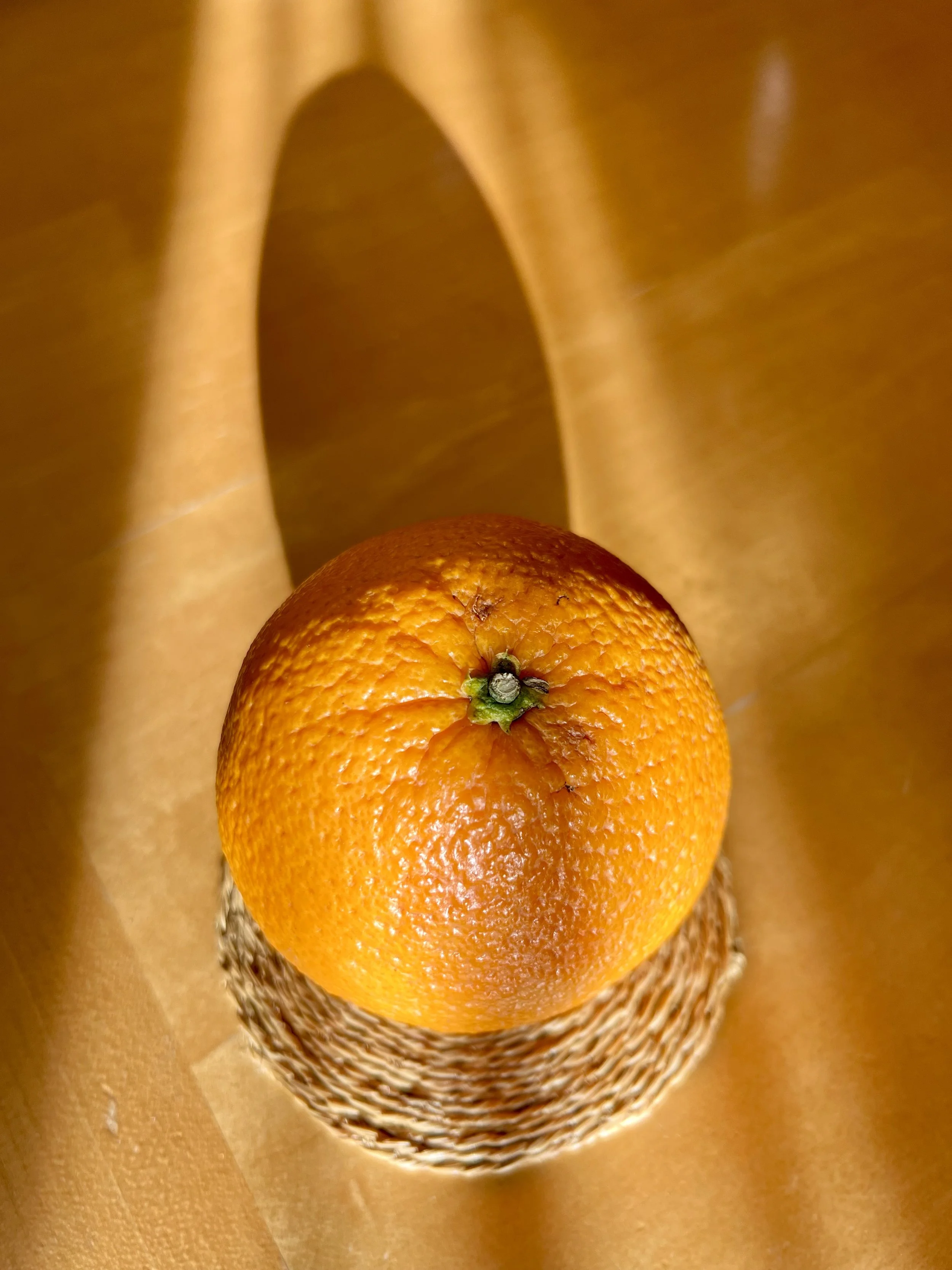 Perhaps, Oranges are the Only Fruit