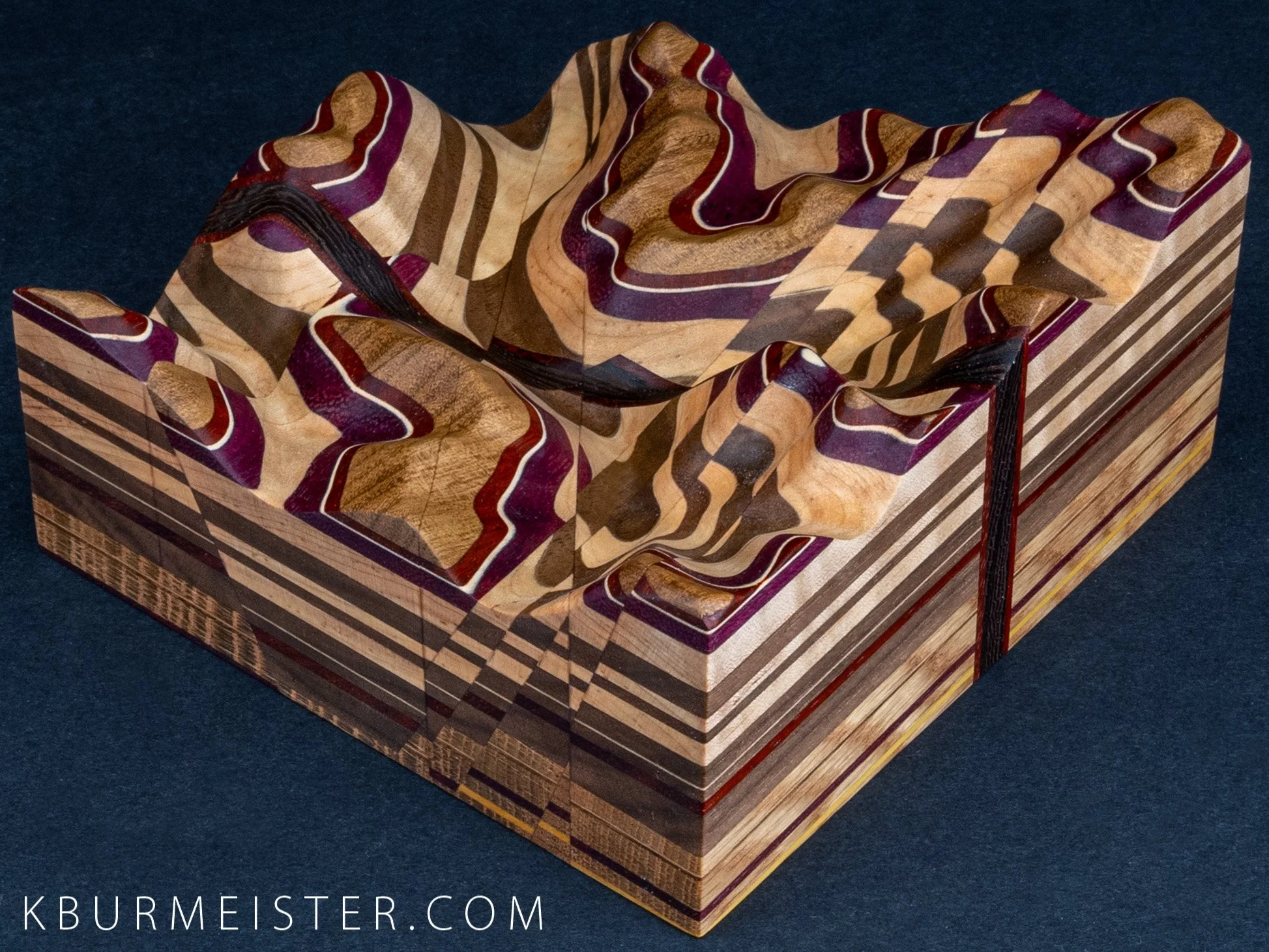 Geologic model