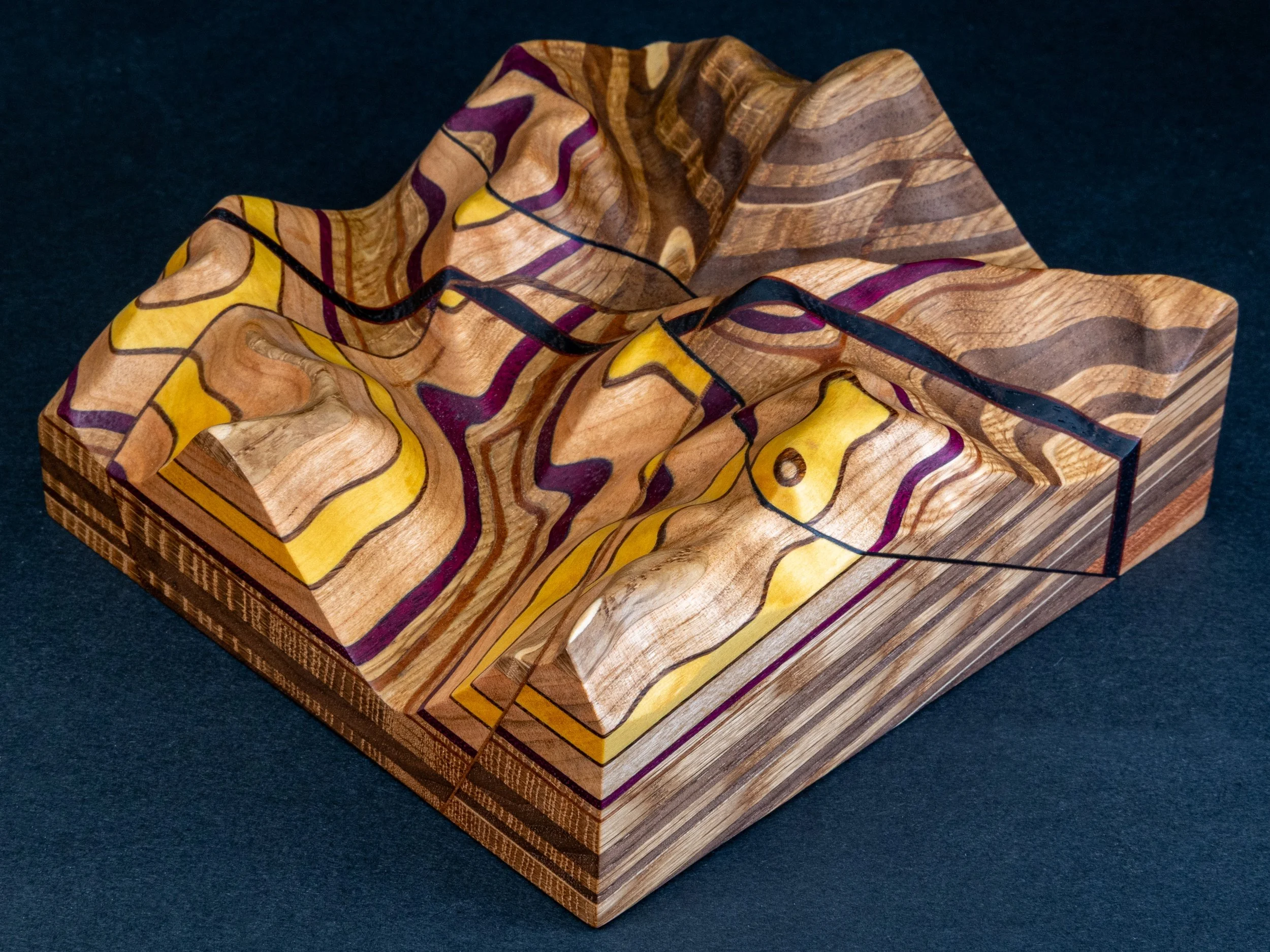 Geologic model