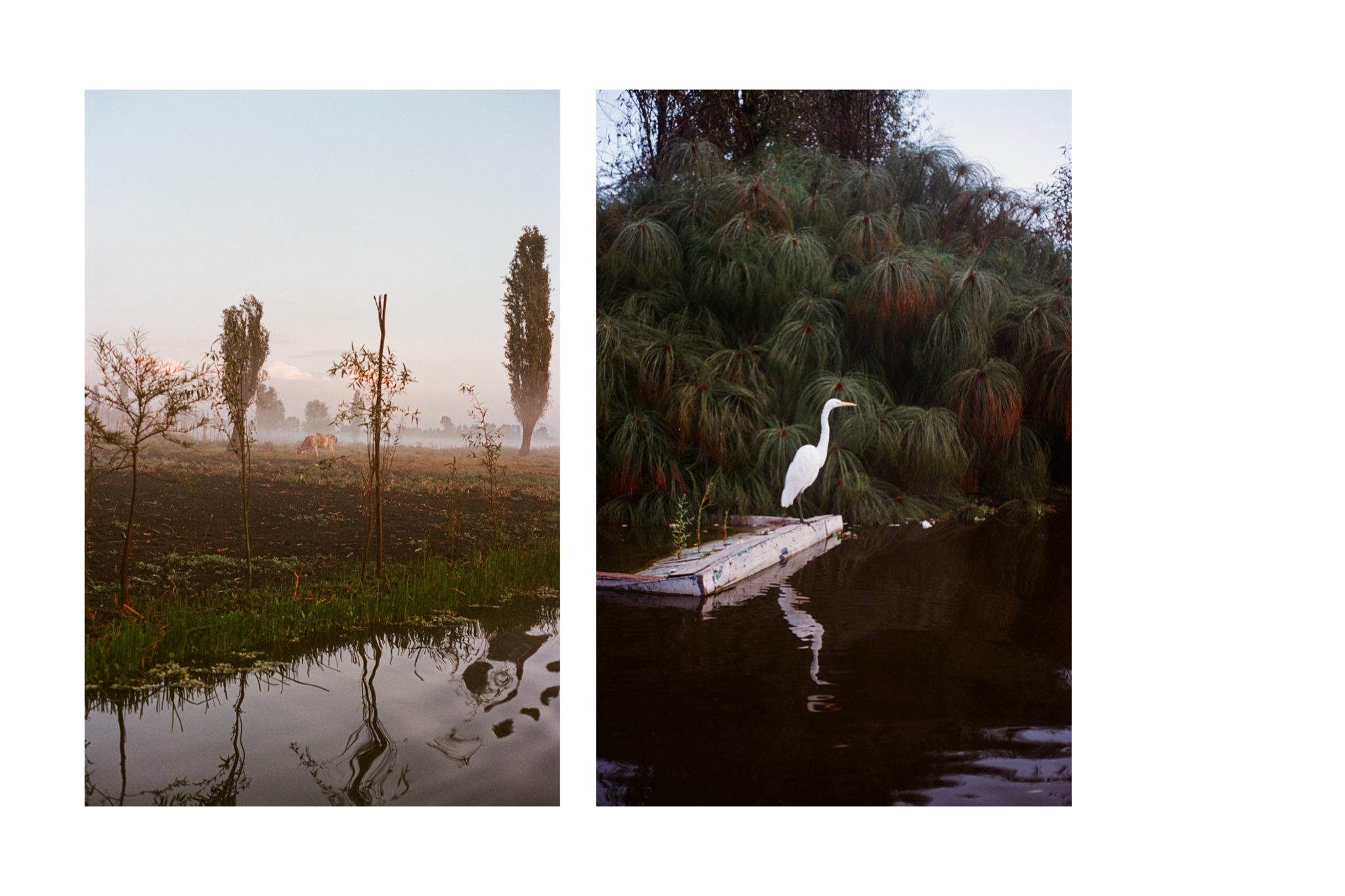 IMG_5558.PNG