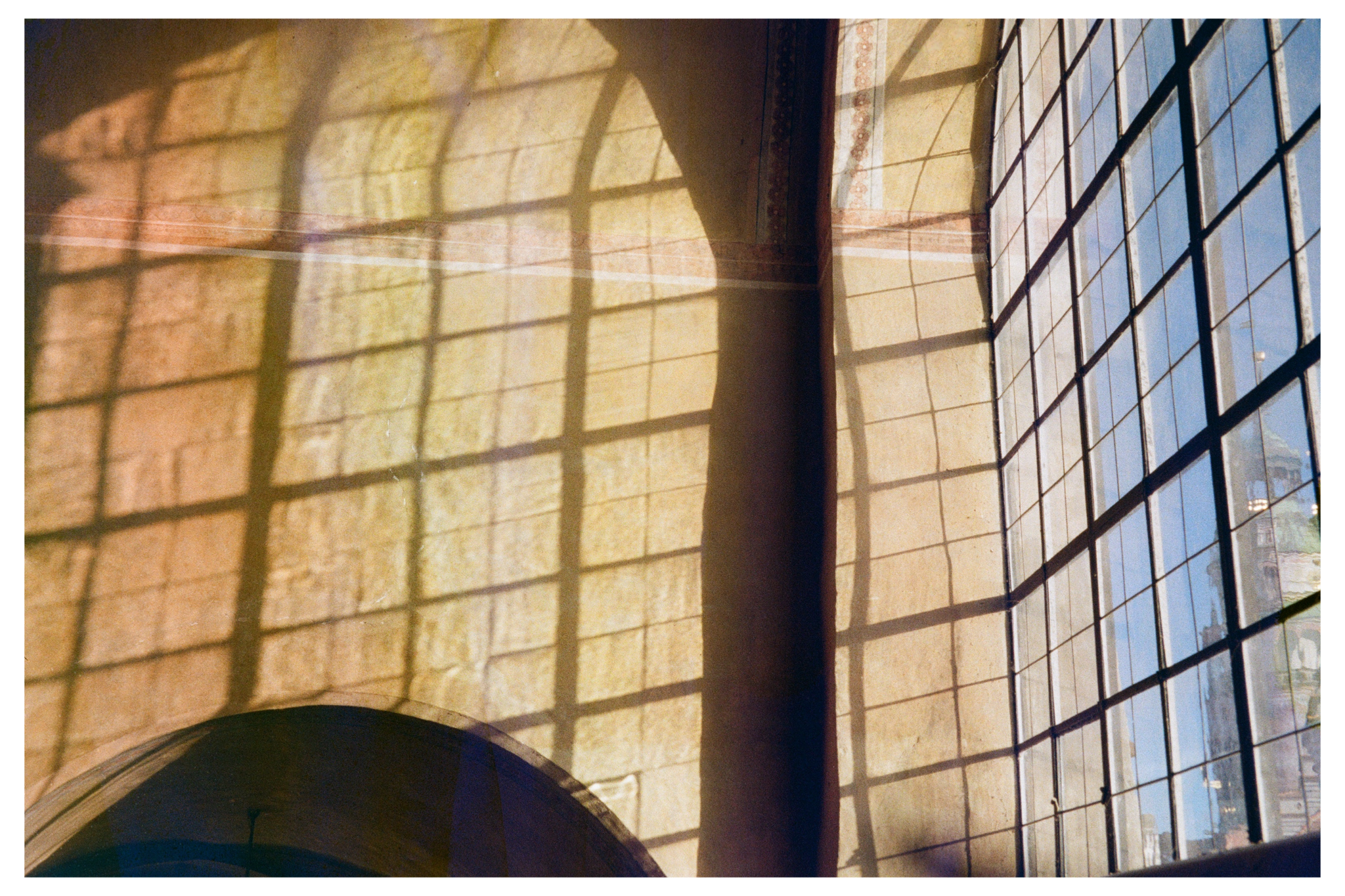 IMG_5582.PNG