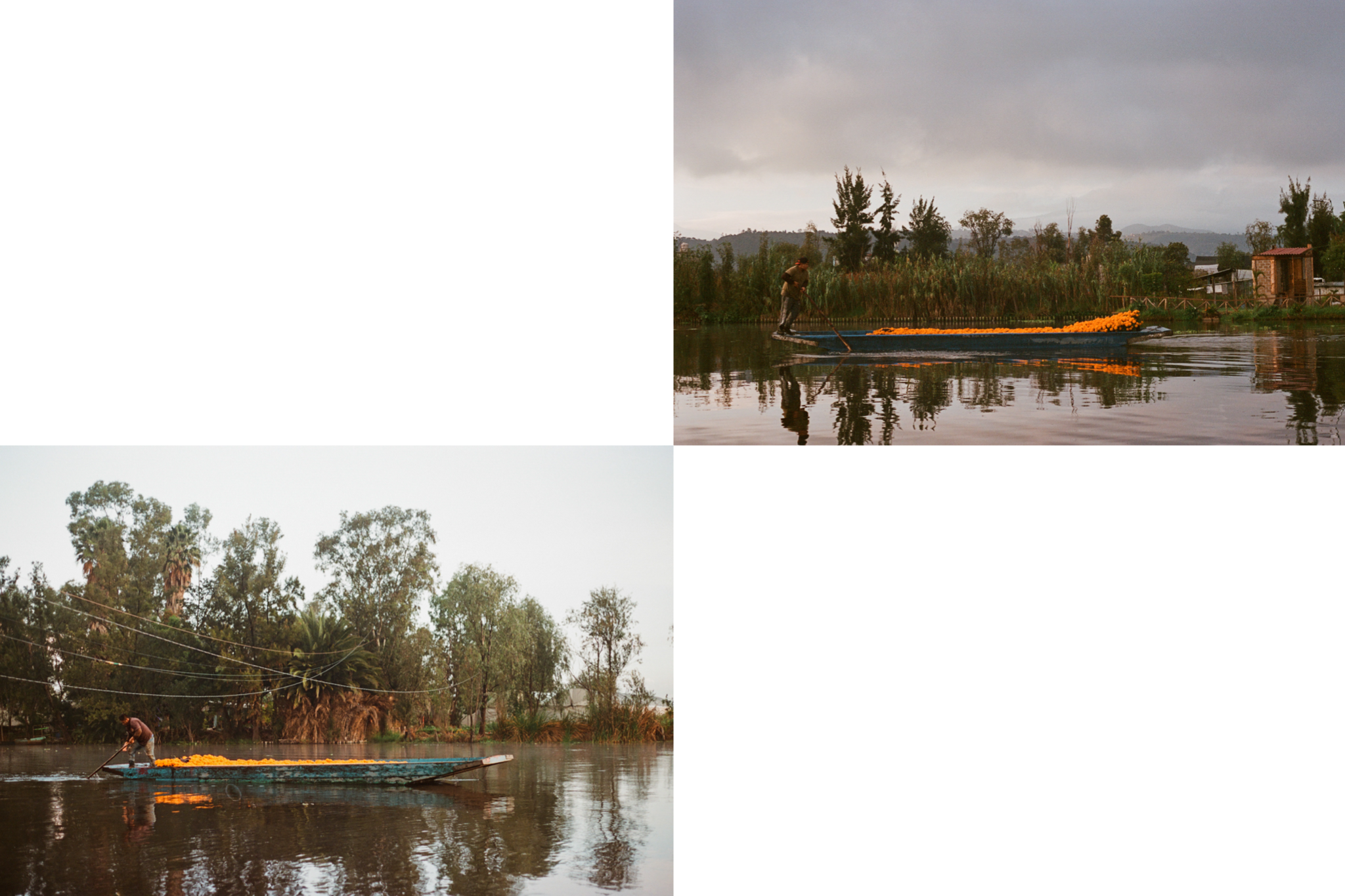 IMG_5563.PNG