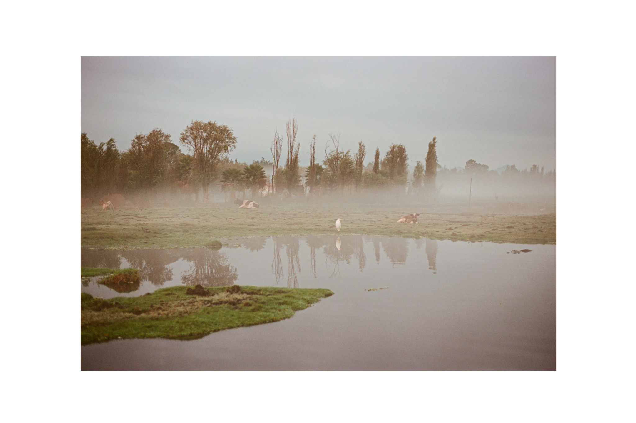 IMG_5555.PNG