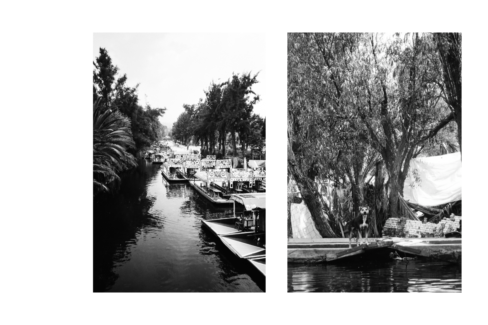 IMG_5568.PNG