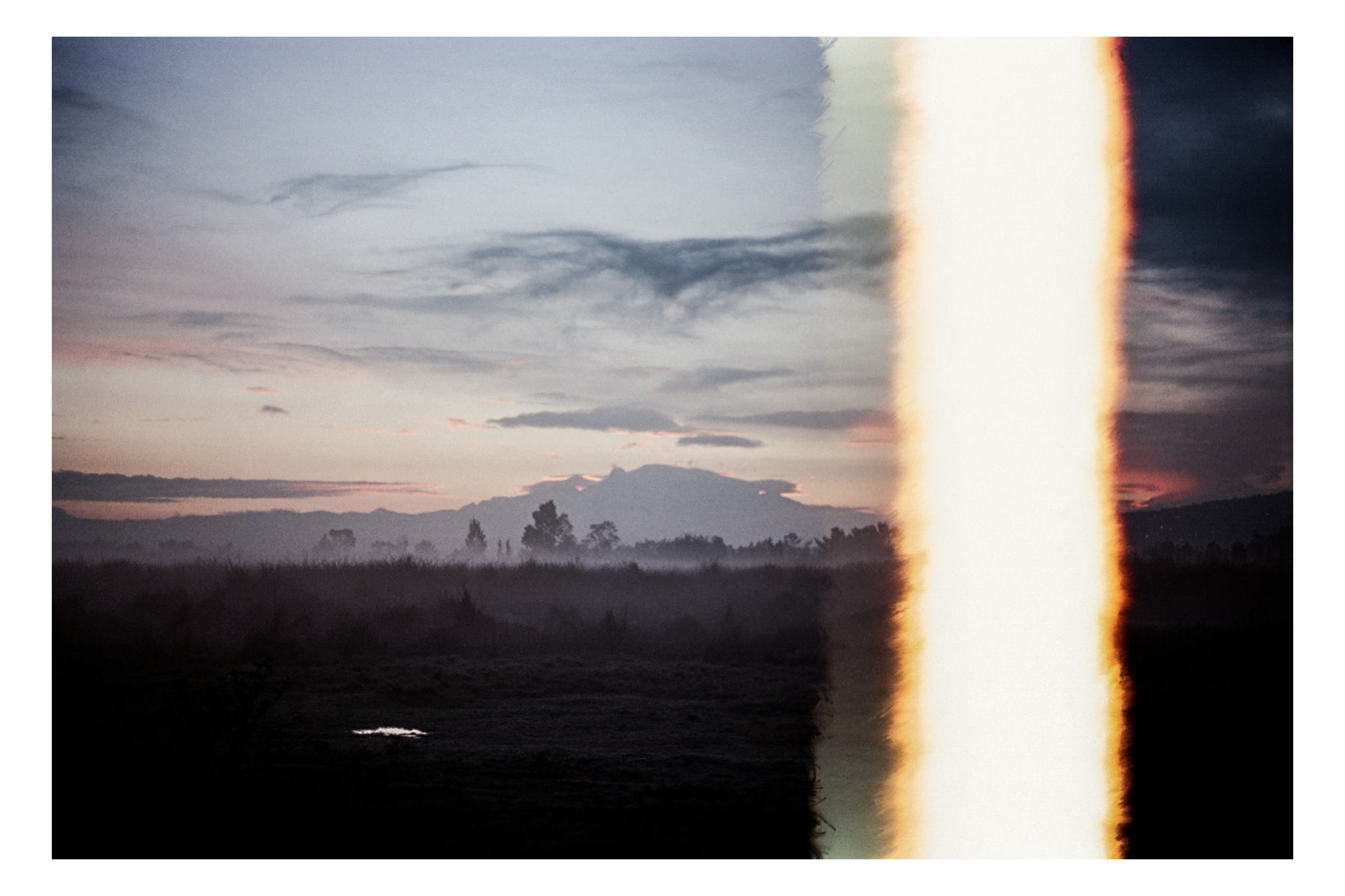 IMG_5508.PNG